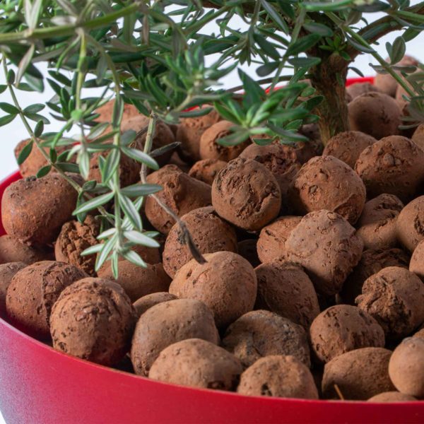 ARGILA EXPANDIDA  1kg WEST GARDEN - Imagem 2