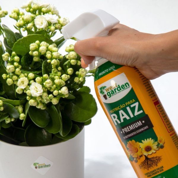 RAIZ PRONTO USO NUTRIÇÃO PREMIUM WEST GARDEN 500ml - Imagem 2