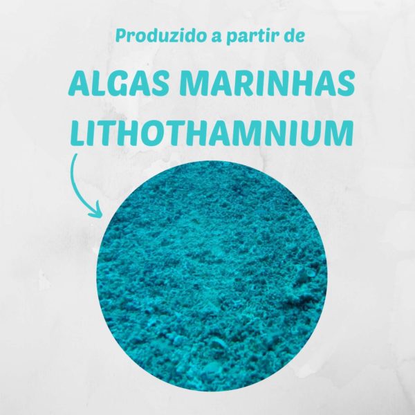 ALGA NUTRI SUBSTRATO ORGÂNICO WEST GARDEN 2 kg - Imagem 4