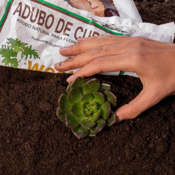ADUBO DE CURRAL 02 kg PREMIUM WEST GARDEN - Imagem 2