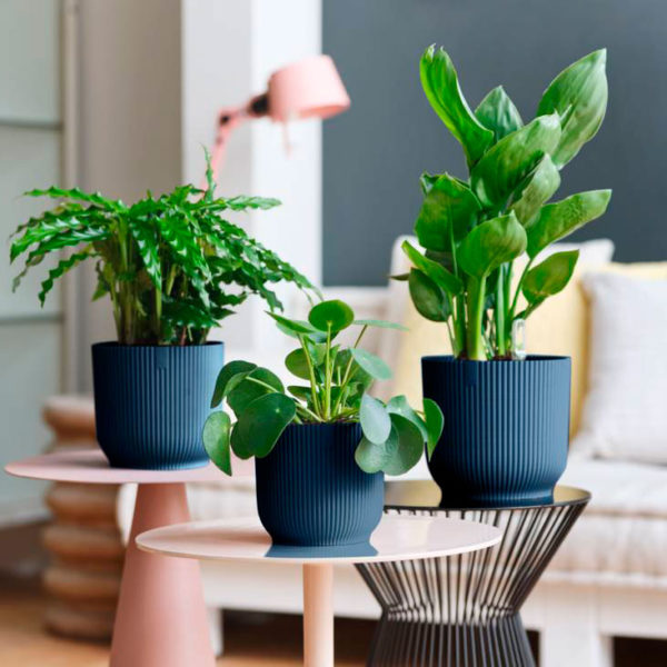 Vaso Cachepot Siena West Garden - Imagem 2