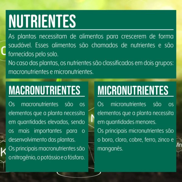 ROSA DO DESERTO NUTRIÇÃO PREMIUM WEST GARDEN 150g - Imagem 4