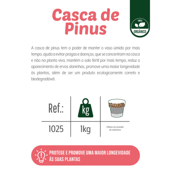 CASCA DE PINUS 01 kg - Imagem 4