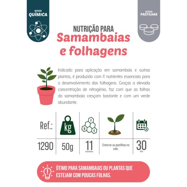 SAMAMBAIAS PASTILHAS NUTRITIVAS PREMIUM WEST GARDEN 50g - Imagem 4