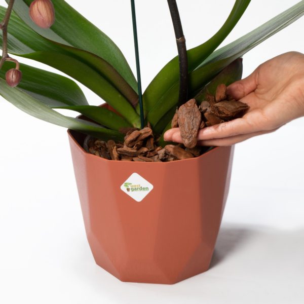 ORQUÍDEAS SUBSTRATO PARA ORQUÍDEAS PREMIUM 500 g - Imagem 3