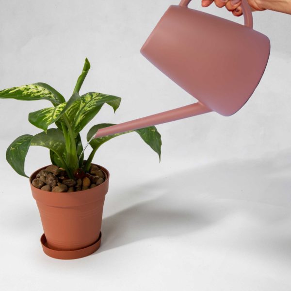 Regador Milan West Garden 1.8 L - Imagem 4
