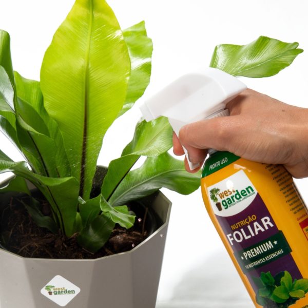 FOLIAR PRONTO USO NUTRIÇÃO PREMIUM WEST GARDEN 500ml - Imagem 2